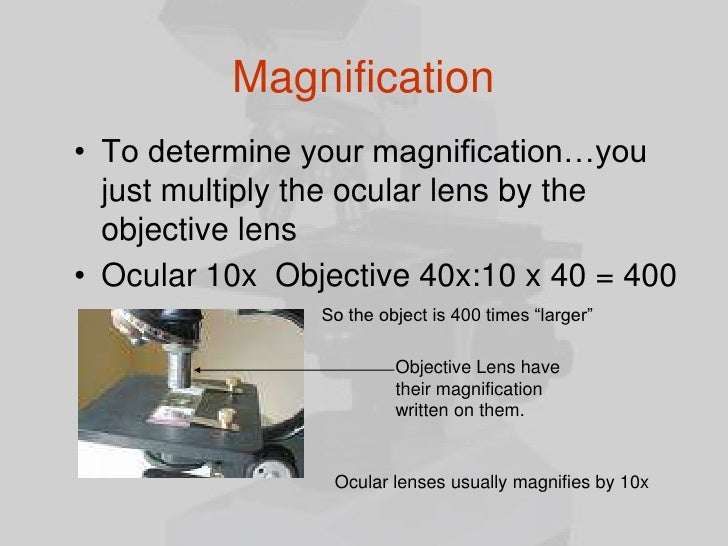 The microscope