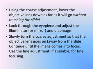 • Using the coarse adjustment, lower the
  objective lens down as far as it will go without
  touching the slide!
• Look through the eyepiece and adjust the
  illuminator (or mirror) and diaphragm.
• Slowly turn the coarse adjustment so that the
  objective lens goes up (away from the slide).
  Continue until the image comes into focus.
  Use the fine adjustment, if available, for fine
  focusing.
 
