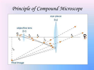 Principle of Compound Microscope
 