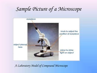 Sample Picture of a Microscope




A Laboratory Model of Compound Microscope
 