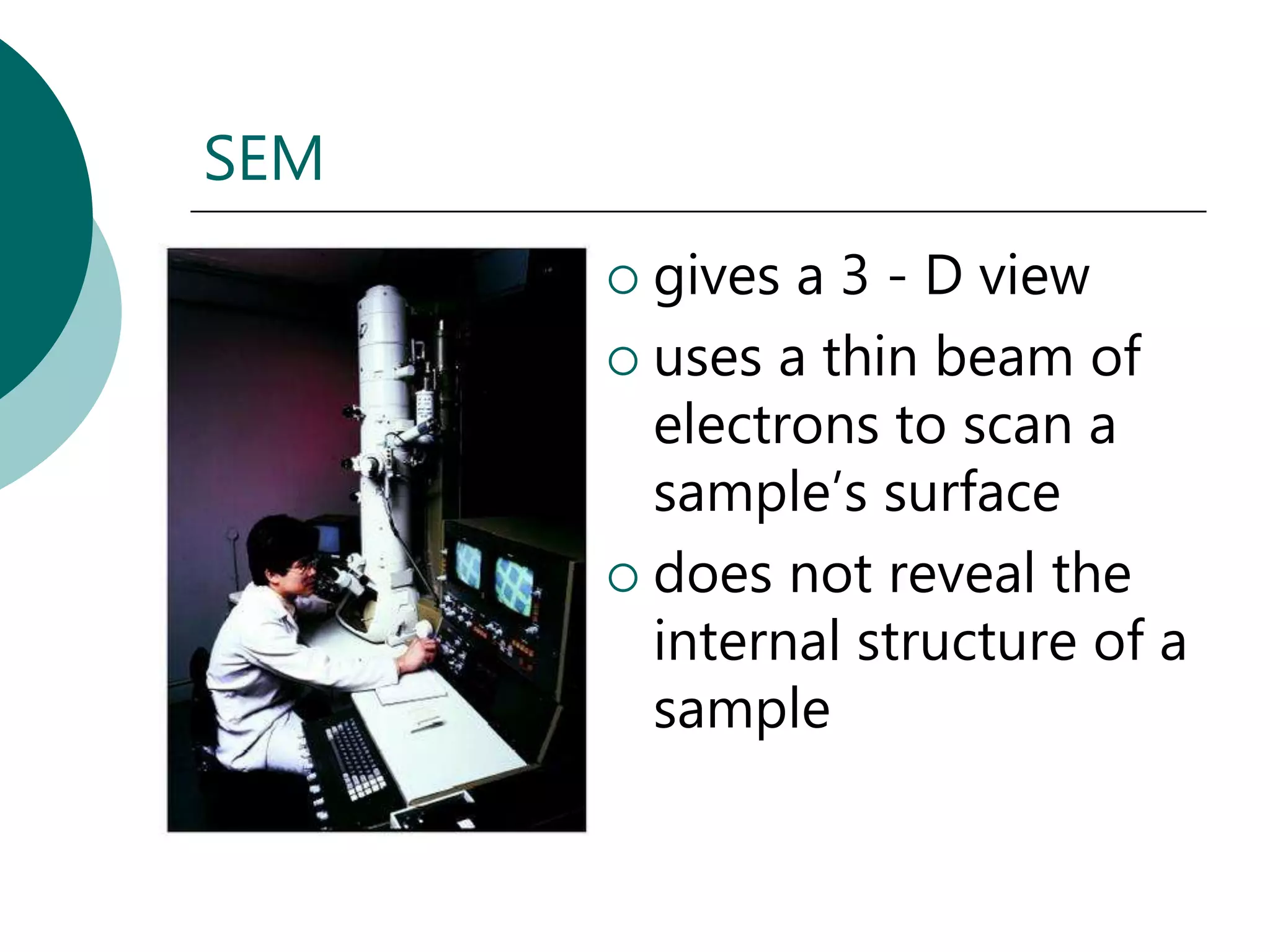 SEM
       gives a 3 - D view
       uses a thin beam of
        electrons to scan a
        sample’s surface
       does not reveal the
        internal structure of a
        sample
 