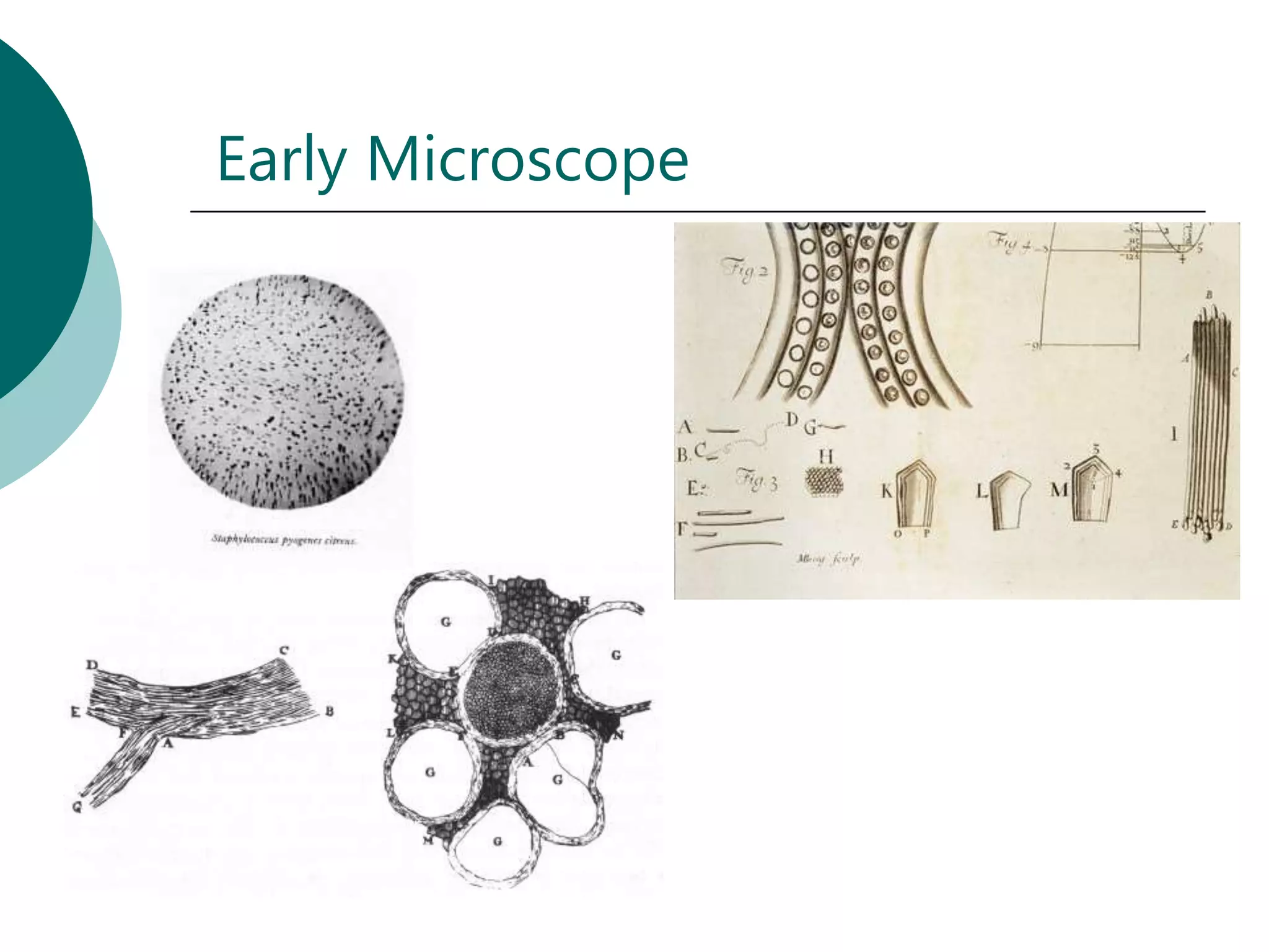 Early Microscope
 