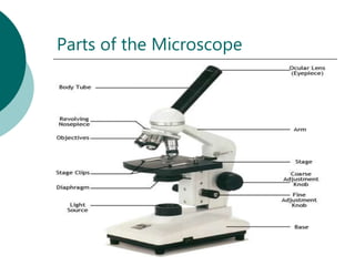 Parts of the Microscope
 