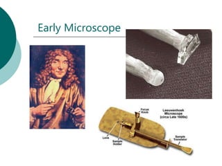 Early Microscope
 