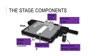The Microscope | PPTX