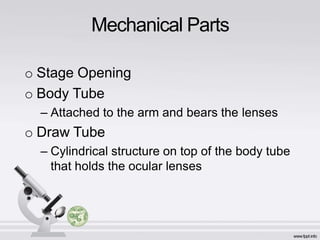 o Stage Opening
o Body Tube
– Attached to the arm and bears the lenses
o Draw Tube
– Cylindrical structure on top of the body tube
that holds the ocular lenses
Mechanical Parts
 