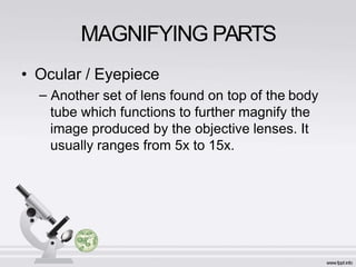 MAGNIFYING PARTS
• Ocular / Eyepiece
– Another set of lens found on top of the body
tube which functions to further magnify the
image produced by the objective lenses. It
usually ranges from 5x to 15x.
 