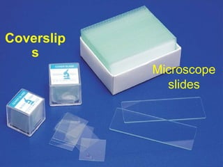 Microscope
slides
Coverslip
s
 