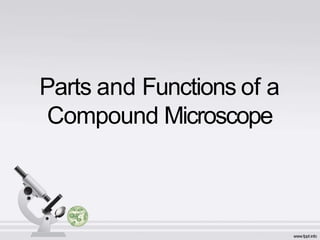 Parts and Functions of a
Compound Microscope
 