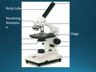 Body tube
Revolving
Nosepiec
e
Stage
 