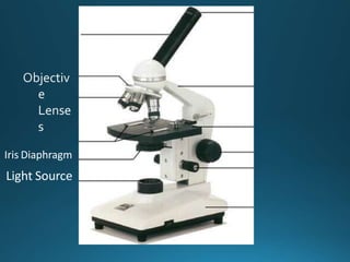 Iris Diaphragm
Light Source
 