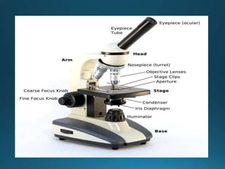 The_Microscope.ppt