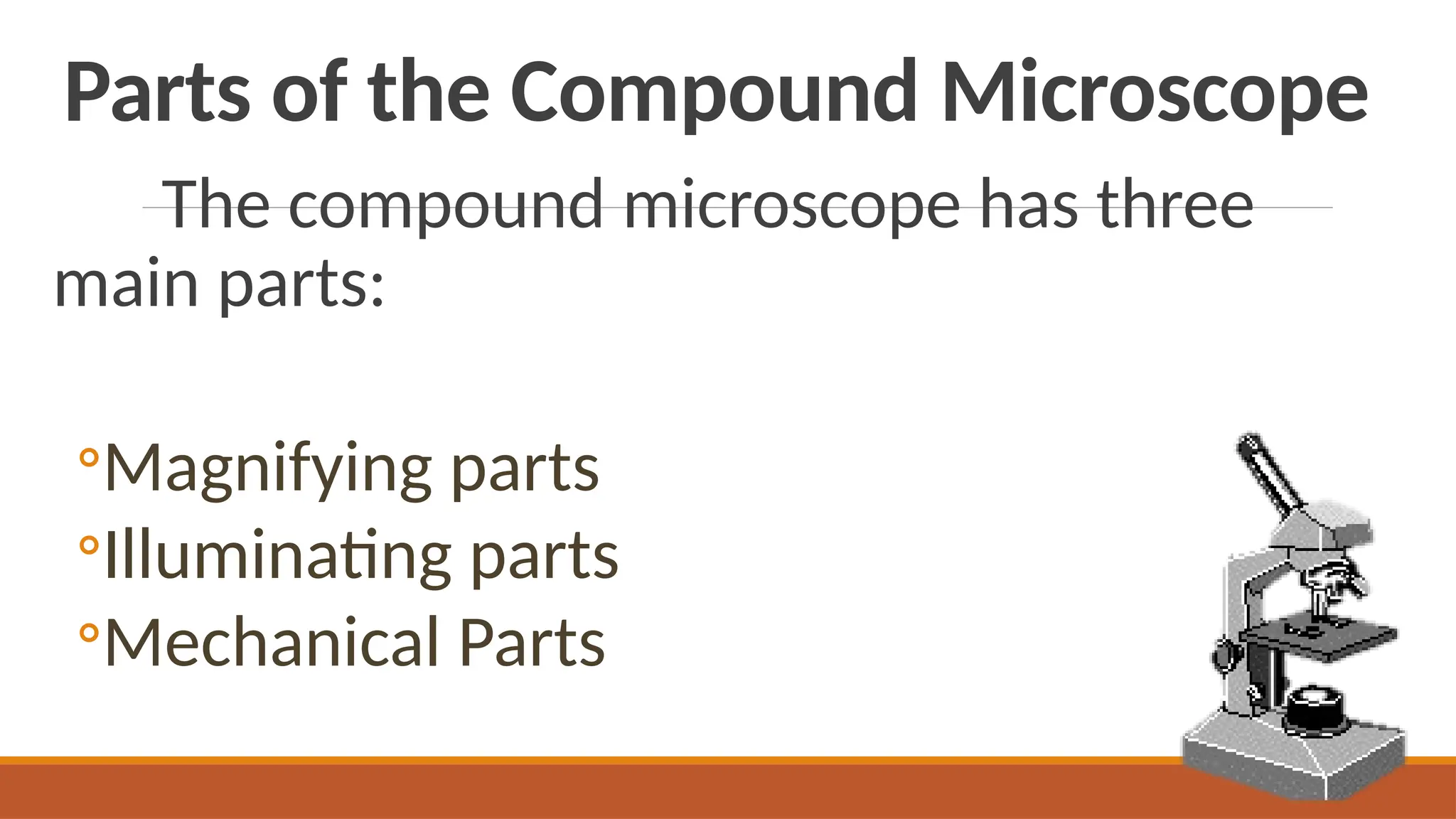 Parts of the Compound Microscope
The compound microscope has three
main parts:
◦Magnifying parts
◦Illuminating parts
◦Mechanical Parts
 
