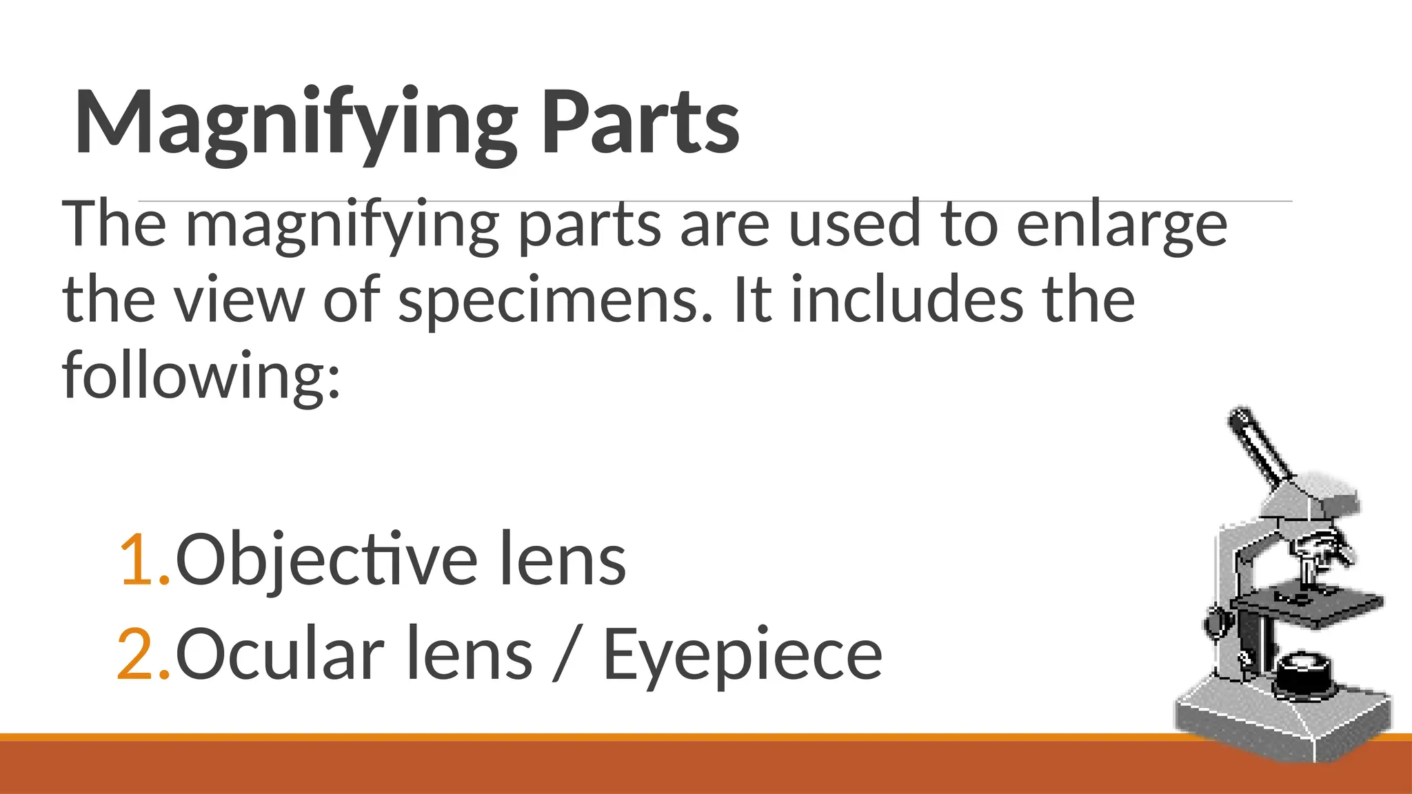 Magnifying Parts
The magnifying parts are used to enlarge
the view of specimens. It includes the
following:
1.Objective lens
2.Ocular lens / Eyepiece
 
