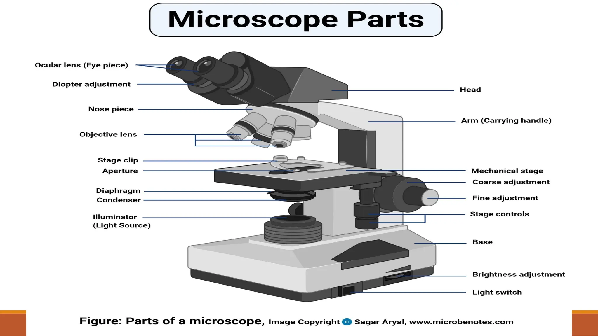 THE PARTS OF THE MICROSCOPE: UNDERSTANDING MICROSCOPY