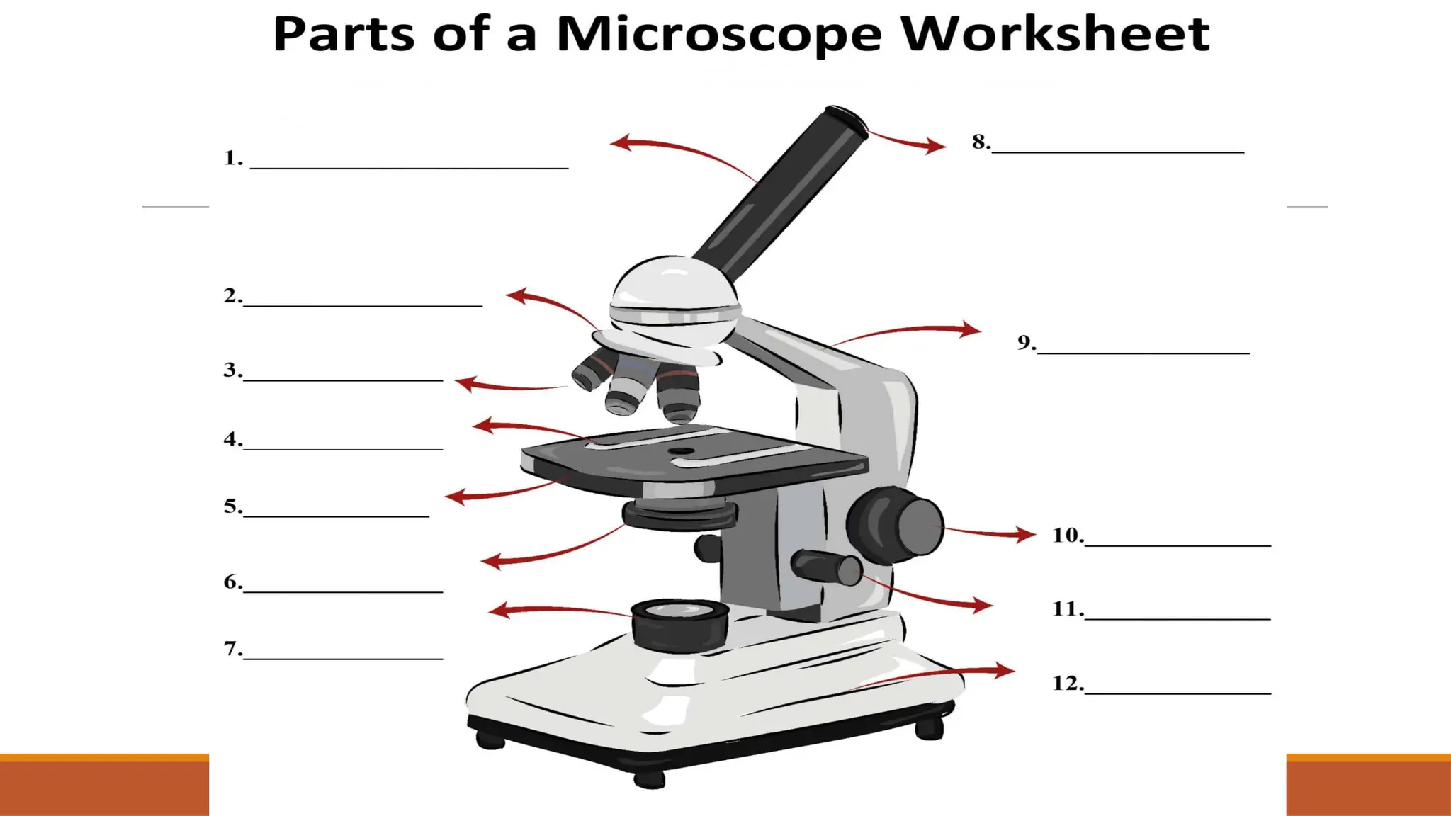 THE PARTS OF THE MICROSCOPE: UNDERSTANDING MICROSCOPY