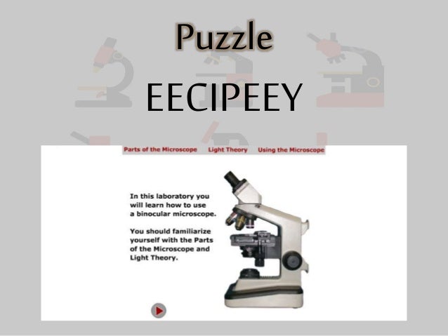 The microscope and its historical development