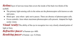 Retina:layer of nervous tissue that covers the inside of the back two-thirds of the
eyeball.
● The primary light-sensing cells in the retina are the photoreceptor cells known as rods
and cones.
● Blind spot: area where optic nerve passes. There are absence of photoreceptor cells.
● Fovea centralis: Area where maximum photoreceptor cells present. Adapted for high-
acuity vision.
Visual Acuity:The ability of the eye to recognize two very closely situated points of
light or lines.
Refractive power of human eye- 60D.
Resolving power of human eye- 0.25mm.
 