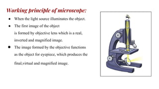 Working principle of microscope:
● When the light source illuminates the object.
● The first image of the object
is formed by objective lens which is a real,
inverted and magnified image.
● The image formed by the objective functions
as the object for eyepiece, which produces the
final,virtual and magnified image.
 