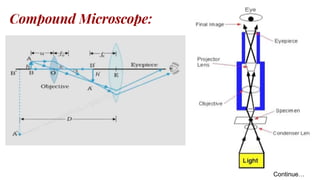 Compound Microscope:
Continue…
 