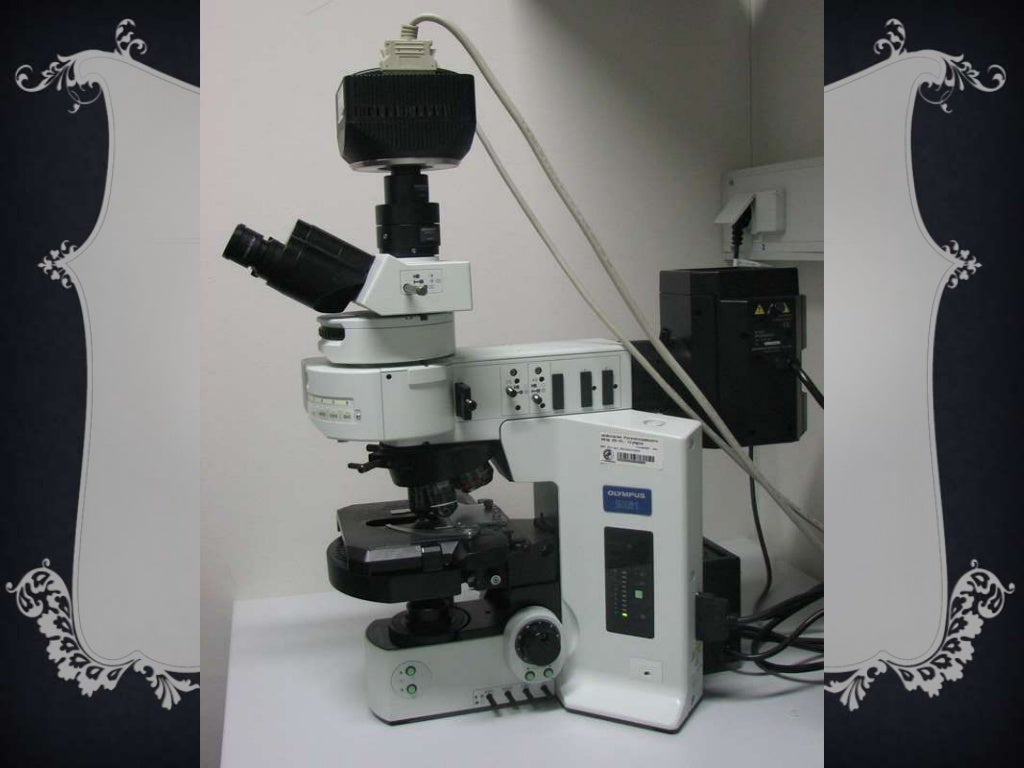 The microscope grade 7