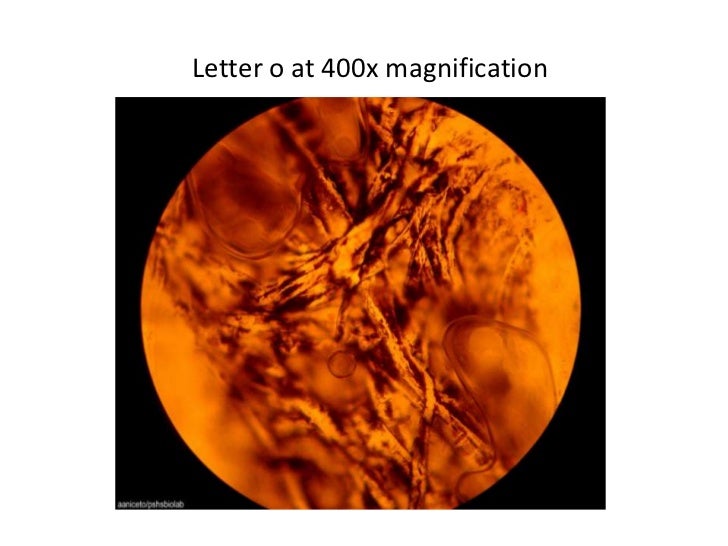 The microscope presentation