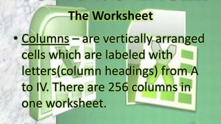 The Microsoft Excel Program | PPTX