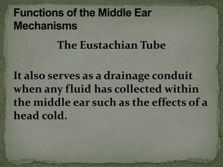 The Eustachian Tube

It also serves as a drainage conduit
when any fluid has collected within
the middle ear such as the effects of a
head cold.
 
