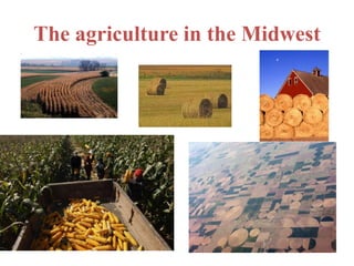 The agriculture in the Midwest