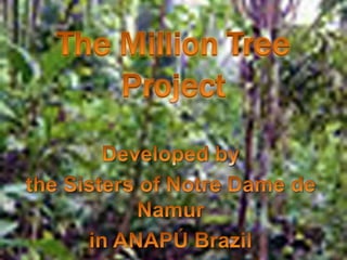 The Million Tree Project Developed by  the Sisters of Notre Dame de Namur  in ANAPÚ Brazil 