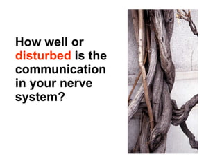 How well or  disturbed  is the communication in your nerve system? 