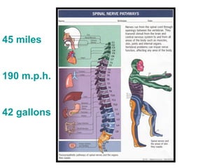 45 miles 190 m.p.h. 42 gallons 