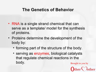 The Genetics of Behavior
• RNA is a single strand chemical that can
serve as a template/ model for the synthesis
of protei...