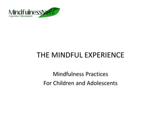 THE MINDFUL EXPERIENCE Mindfulness Practices  For Children and Adolescents 