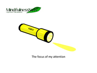 The focus of my attention 