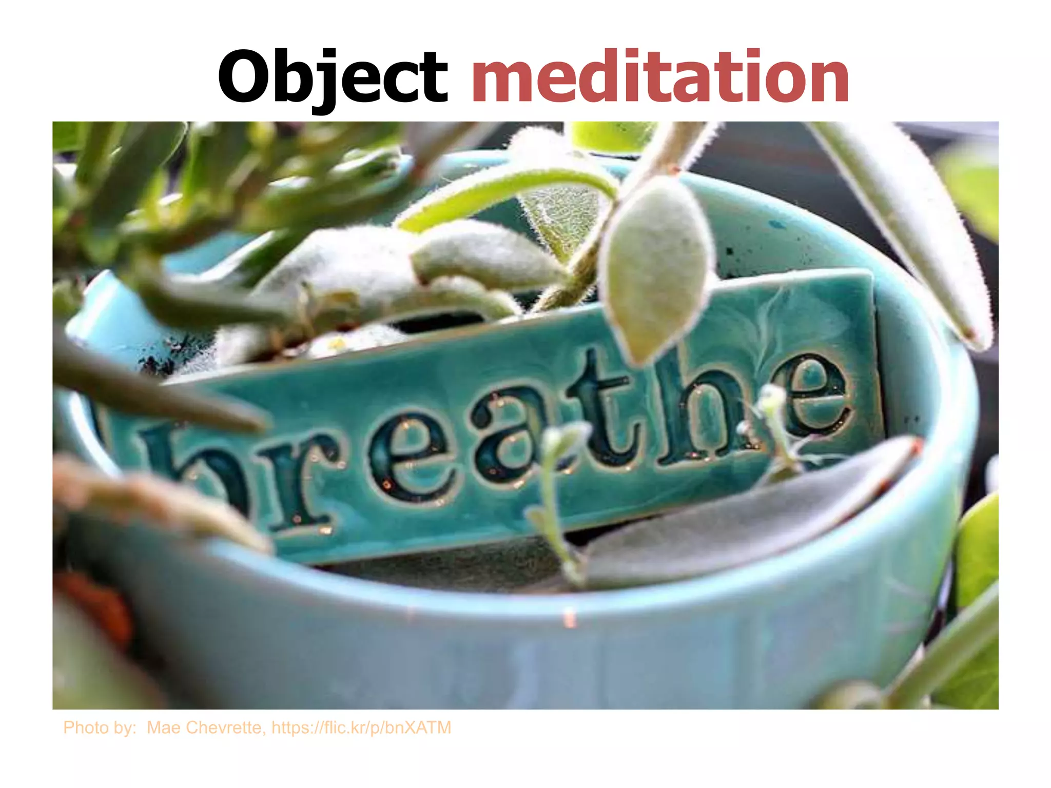 Object meditation
Photo by: Mae Chevrette, https://flic.kr/p/bnXATM
 