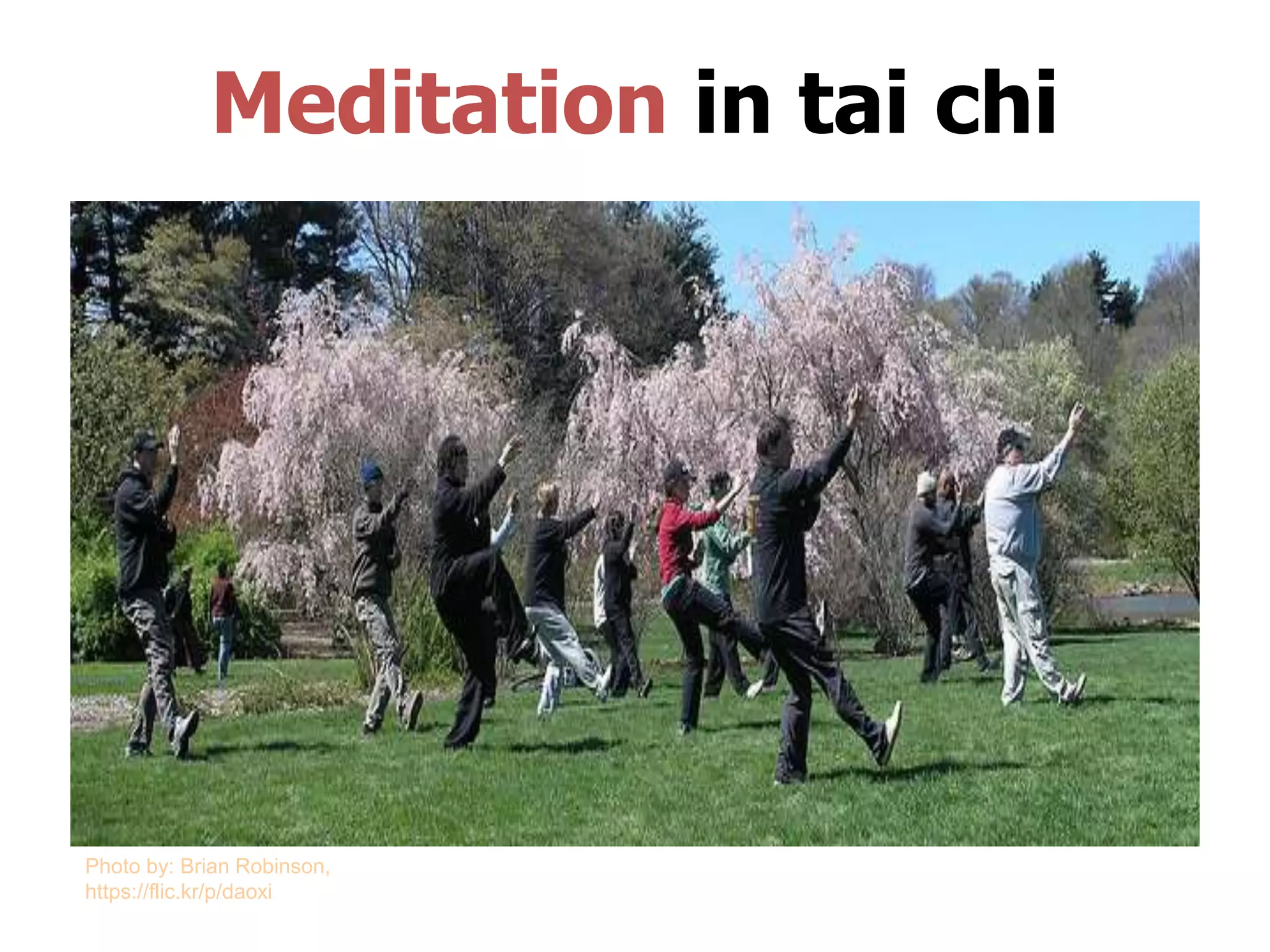 Meditation in tai chi
Photo by: Brian Robinson,
https://flic.kr/p/daoxi
 