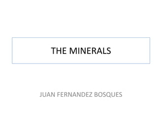 THE MINERALS

JUAN FERNANDEZ BOSQUES

 