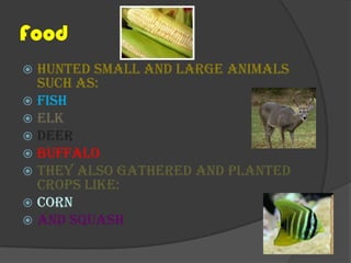 FoodHunted small and large animals such as:FishElkDeerBuffaloThey also gathered and planted crops like:CornAnd Squash