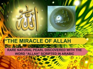 bestpowerpointtemplates.com
“THE MIRACLE OF ALLAH
PEARL”RARE NATURAL PEARL DISCOVERED WITH THE
WORD “ALLAH” SCRIPTED IN ARABIC
 