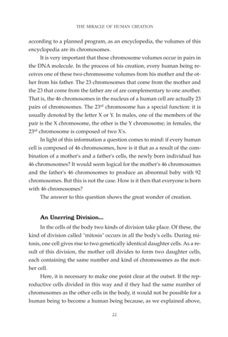 The miracle of human creation. english | PDF