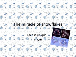 The miracle of snowflakes
Each is unique!?
YES!!!

 