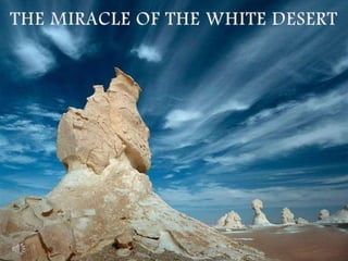 THE MIRACLE OF THE WHITE DESERT 