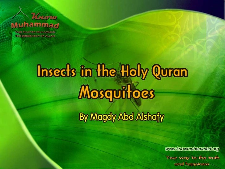 The miraculous creation of mosquitoes is hinted at the quran