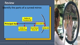 Review
2
Identify the parts of a curved mirror.
Principal Axis
Center of
Curvature (C)
Focal Point/
Focus (F)
Vertex (A)
R...