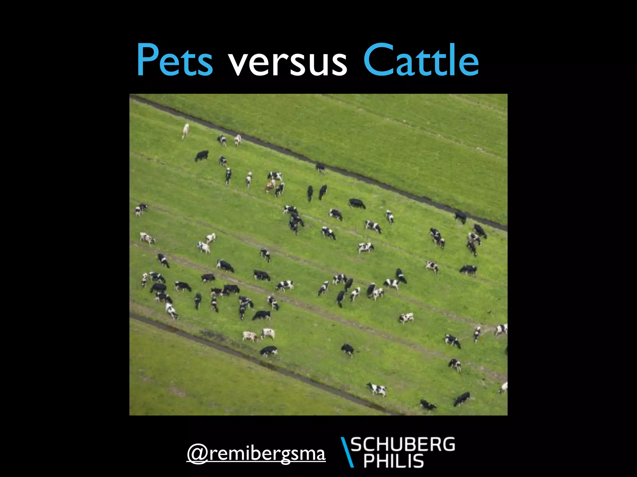 @remibergsma
Pets versus Cattle
 