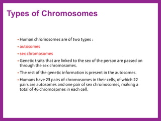 • Human chromosomes are of two types :
• autosomes
• sex chromosomes
• Genetic traits that are linked to the sex of the person are passed on
through the sex chromosomes.
• The rest of the genetic information is present in the autosomes.
• Humans have 23 pairs of chromosomes in their cells, of which 22
pairs are autosomes and one pair of sex chromosomes, making a
total of 46 chromosomes in each cell.
Types of Chromosomes
 