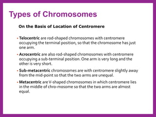 • Telocentric are rod-shaped chromosomes with centromere
occupying the terminal position, so that the chromosome has just
one arm.
• Acrocentric are also rod-shaped chromosomes with centromere
occupying a sub-terminal position. One arm is very long and the
other is very short.
• Sub-metacentric chromosomes are with centromere slightly away
from the mid-point so that the two arms are unequal.
• Metacentric areV-shaped chromosomes in which centromere lies
in the middle of chro-mosome so that the two arms are almost
equal.
On the Basis of Location of Centromere
Types of Chromosomes
 