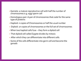 • Gamete: a mature reproductive cell with half the number of
chromosomes e.g. egg/ sperm cell
• Homologous pair: A pair of chromosomes that code for the same
type of proteins
• Haploid: n copies of Chromosomes or half the usual number
• Diploid: 2n copies of chromosomes or the full set of chromosomes
• When two haploid cells fuse – they form a diploid cell
• That diploid cell called Zygote divides by mitosis
• After which they can differentiate into different cells
• Some of the cells differentiate into germ cell and become the
gonads
 