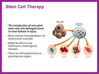 • The introduction of new adult
stem cells into damaged tissue
to treat disease or injury
• Bone marrow transplantation for
leukemia for example
• Might be able to cure
Parkinson’s, Huntington’s
diseases
• There are still experiments on
growing new organs
Stem Cell Therapy
 